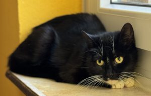 A Nächtlicher Einsatz